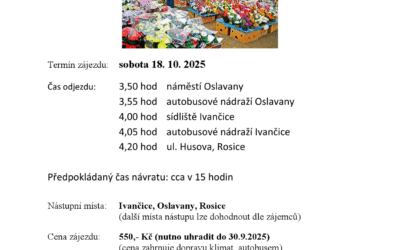Za nákupy do Polského Těšína ( 18.10.2025)